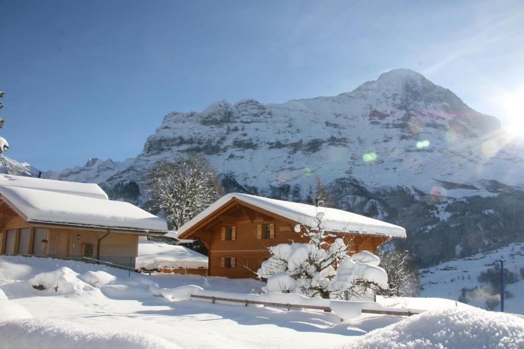 Chalet Baergbaechli Grindelwald Exteriér fotografie
