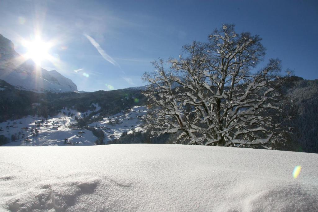 Chalet Baergbaechli Grindelwald Exteriér fotografie