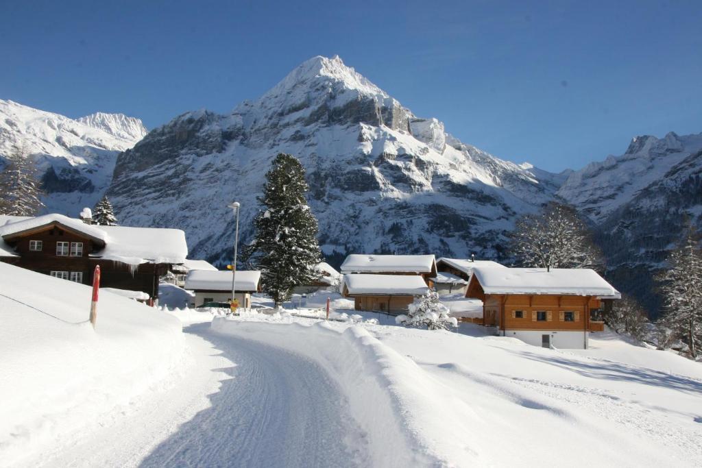 Chalet Baergbaechli Grindelwald Exteriér fotografie
