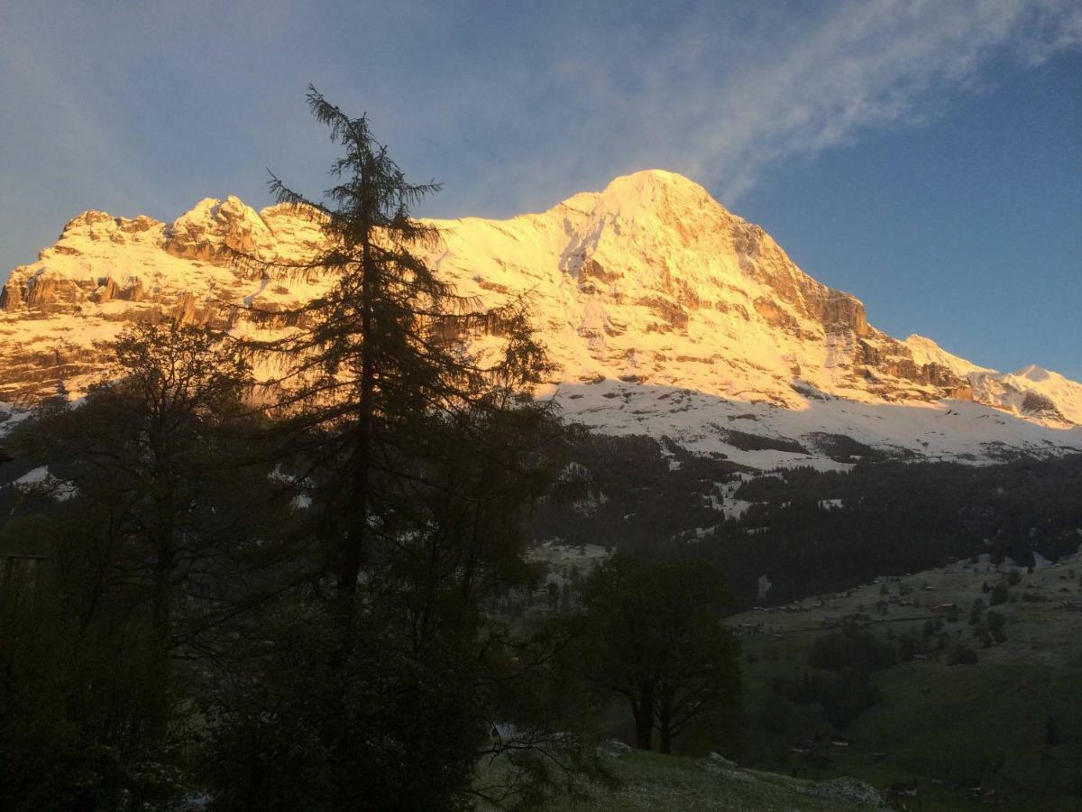 Chalet Baergbaechli Grindelwald Exteriér fotografie